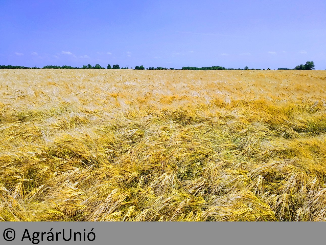 NapiKép 2018.06.02.