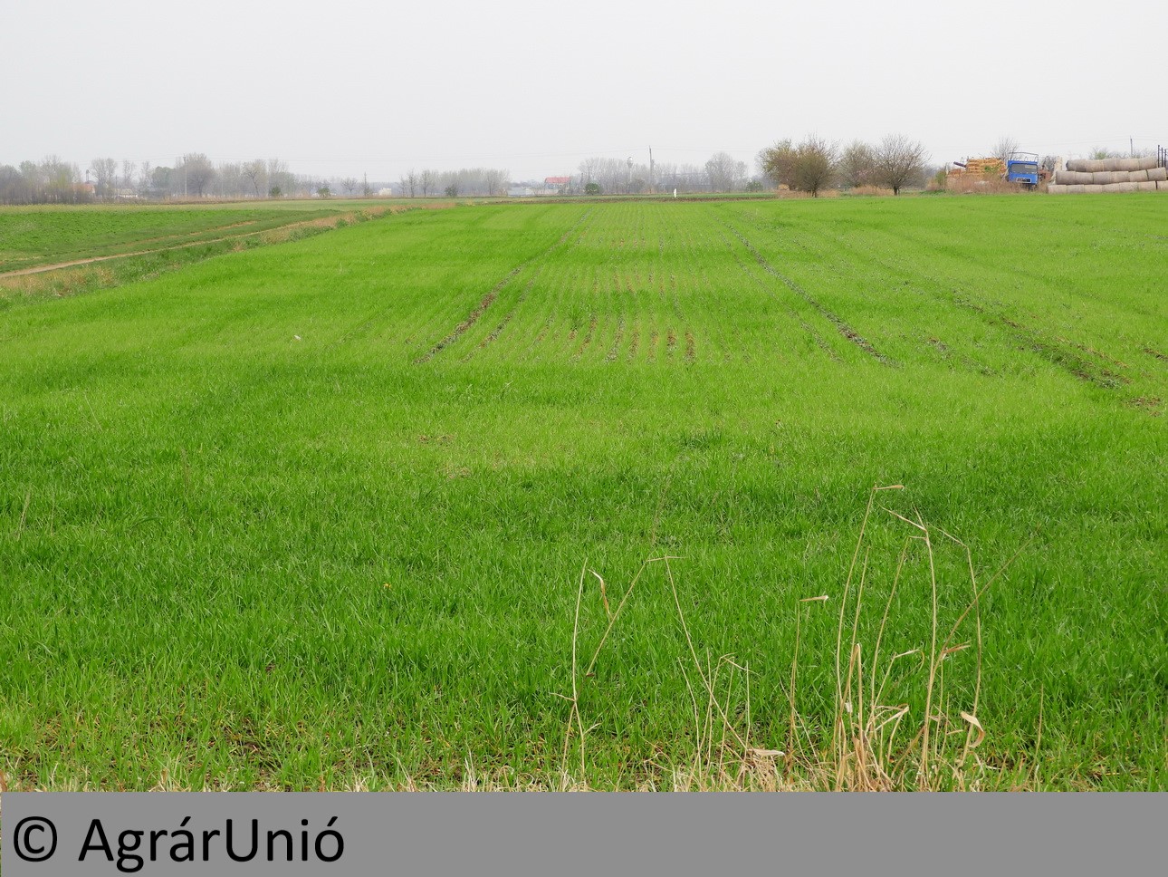 NapiKép 2019.04.04.