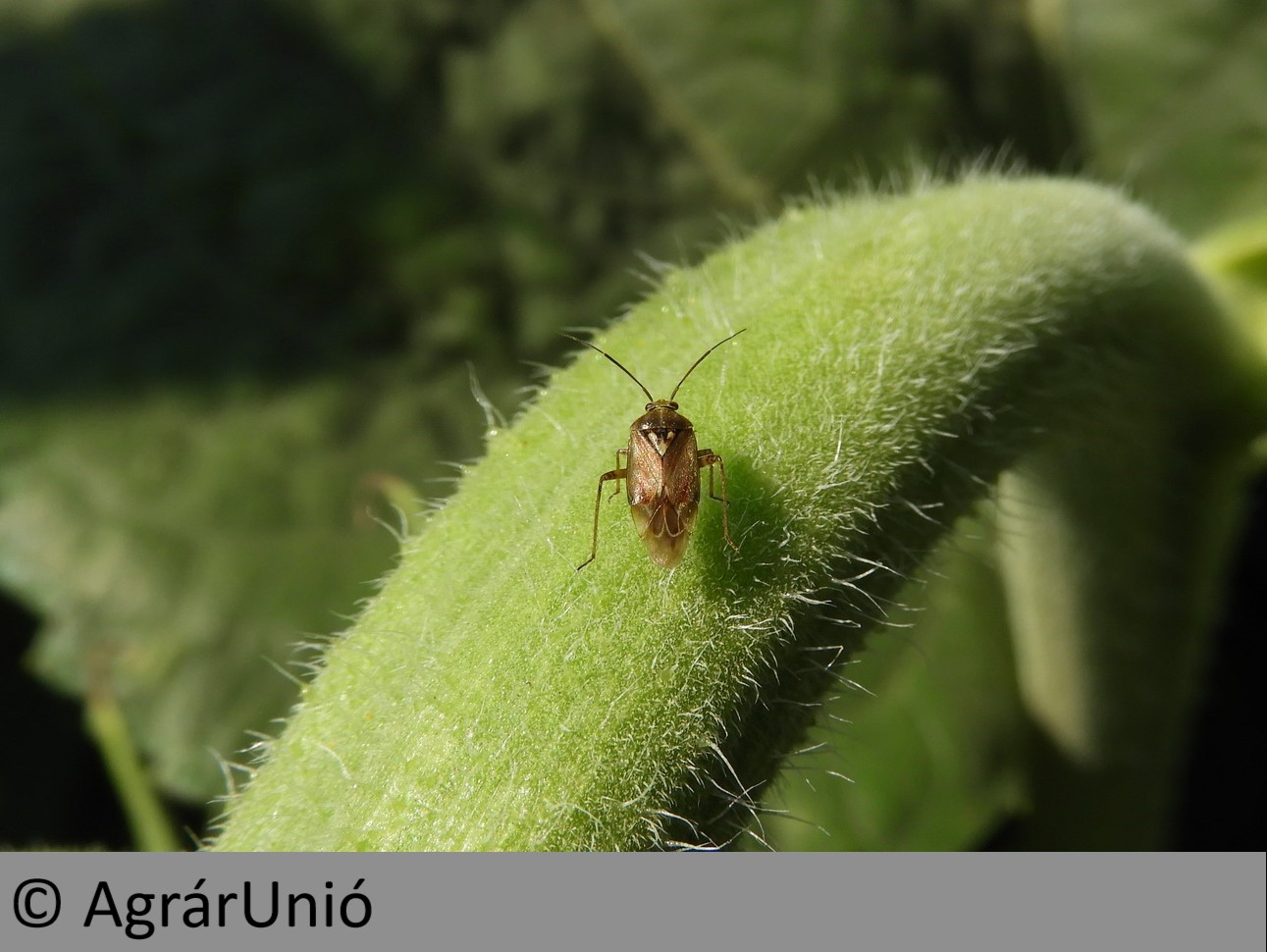 NapiKép 2019.07.08.
