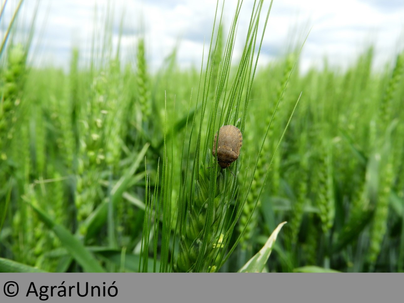 NapiKép 2019.05.23.