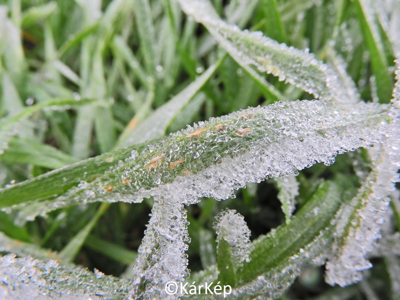 NapiKép 2020.01.17.