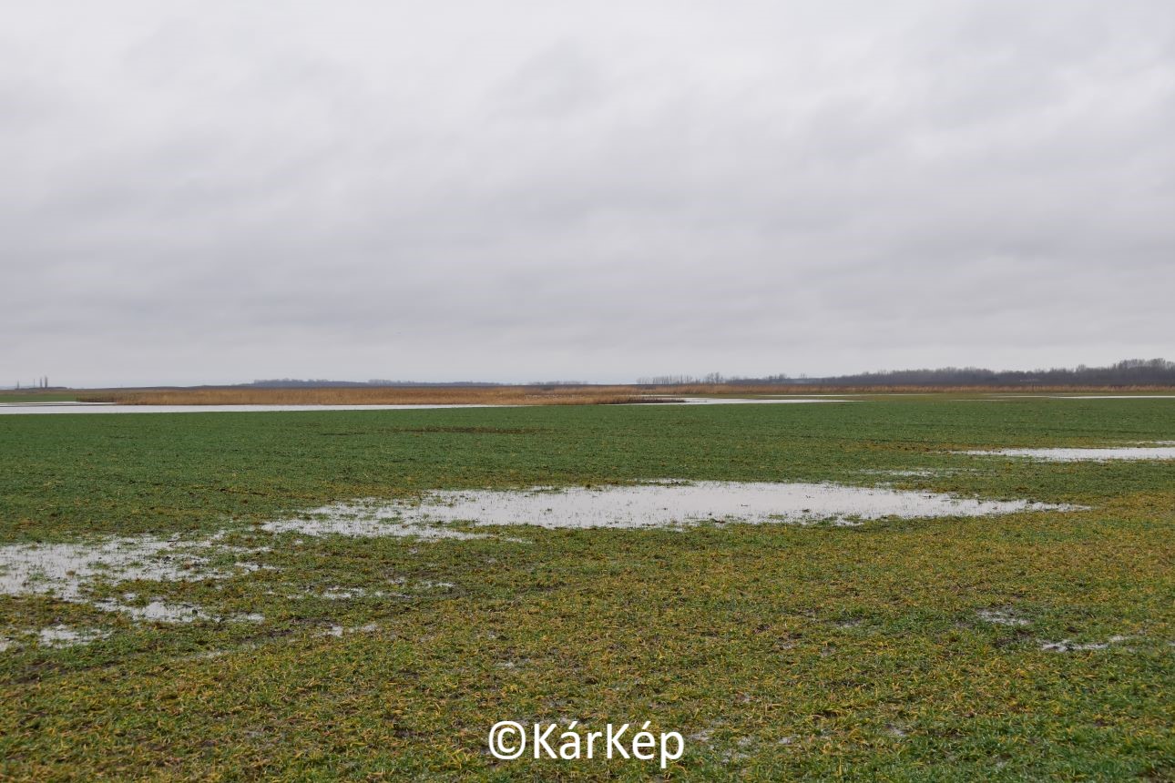 NapiKép 2021.02.14.