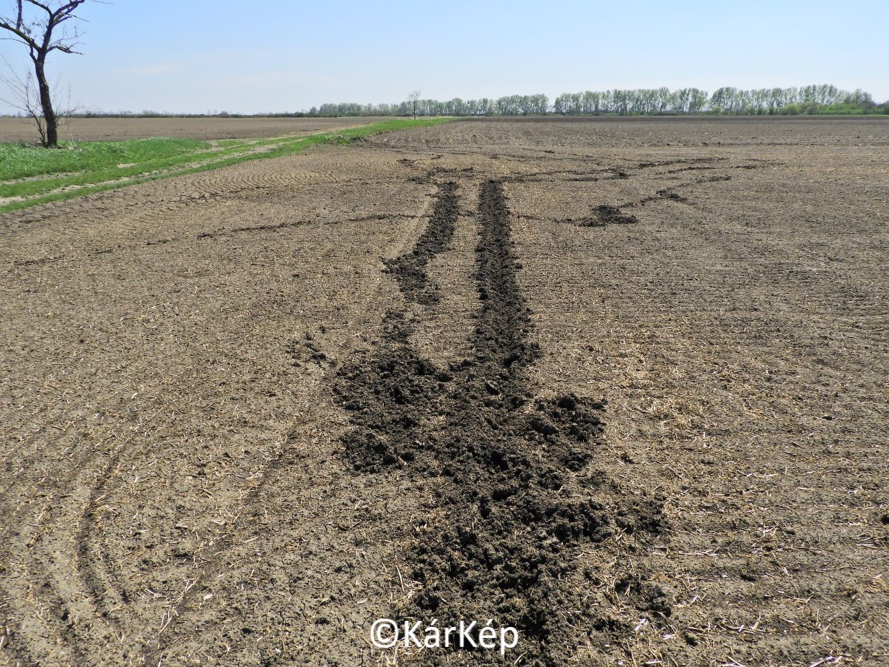 NapiKép 2022.04.25.