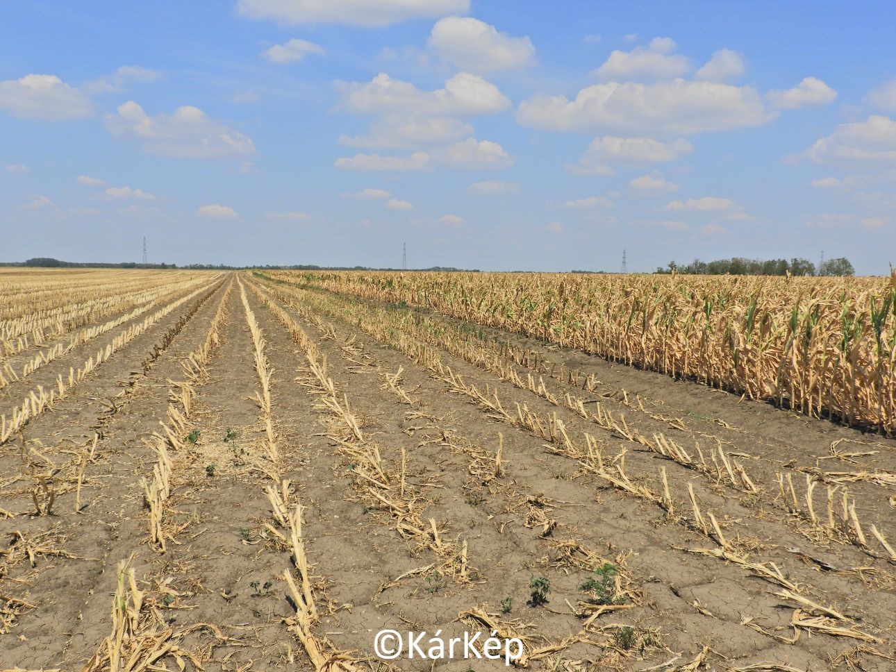NapiKép 2022.08.14.