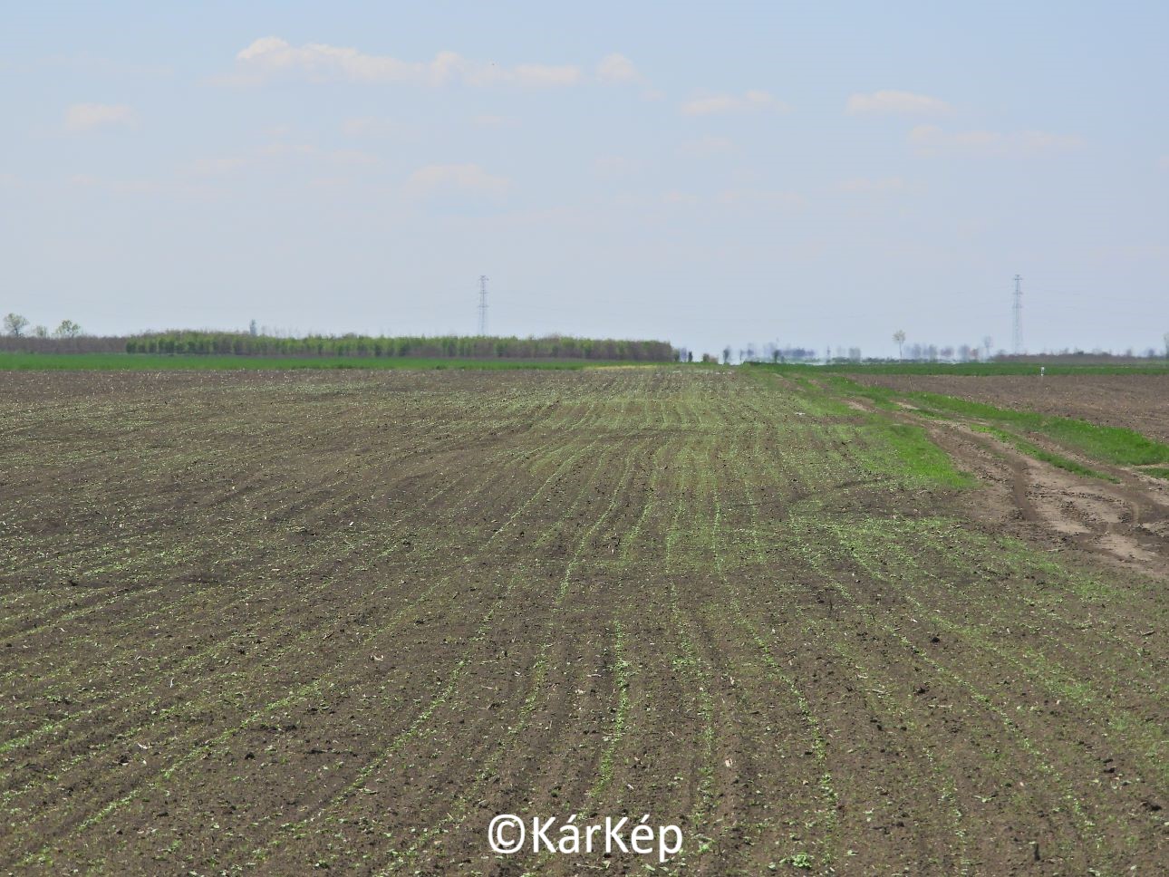 NapiKép 2022.05.01.