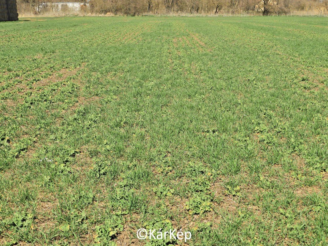 NapiKép 2022.03.26.