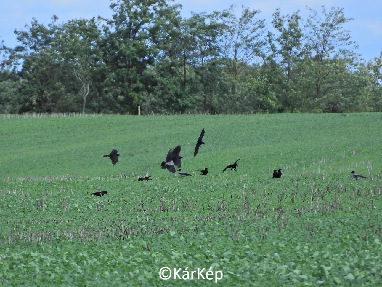 NapiKép 2022.10.04.