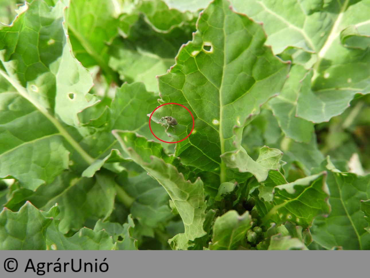 NapiKép 2018.04.05.