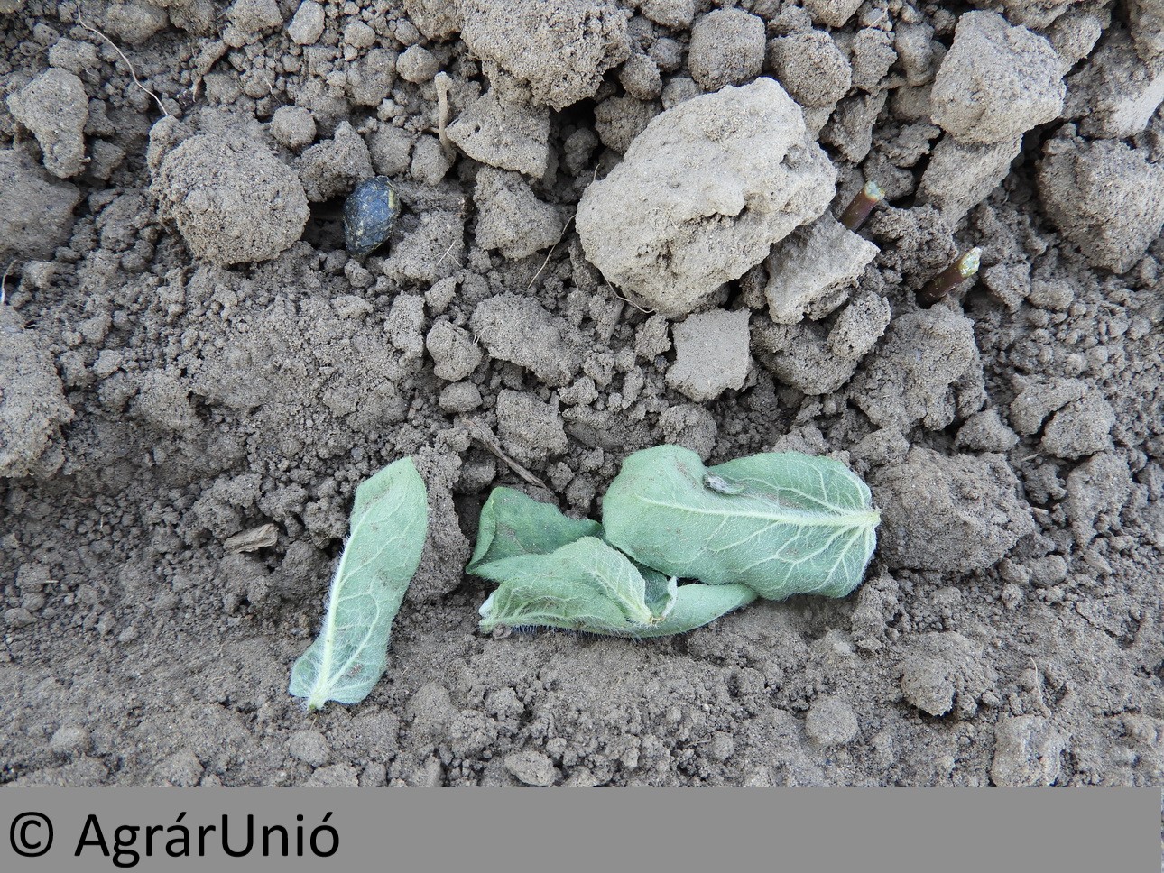 NapiKép 2018.05.02.