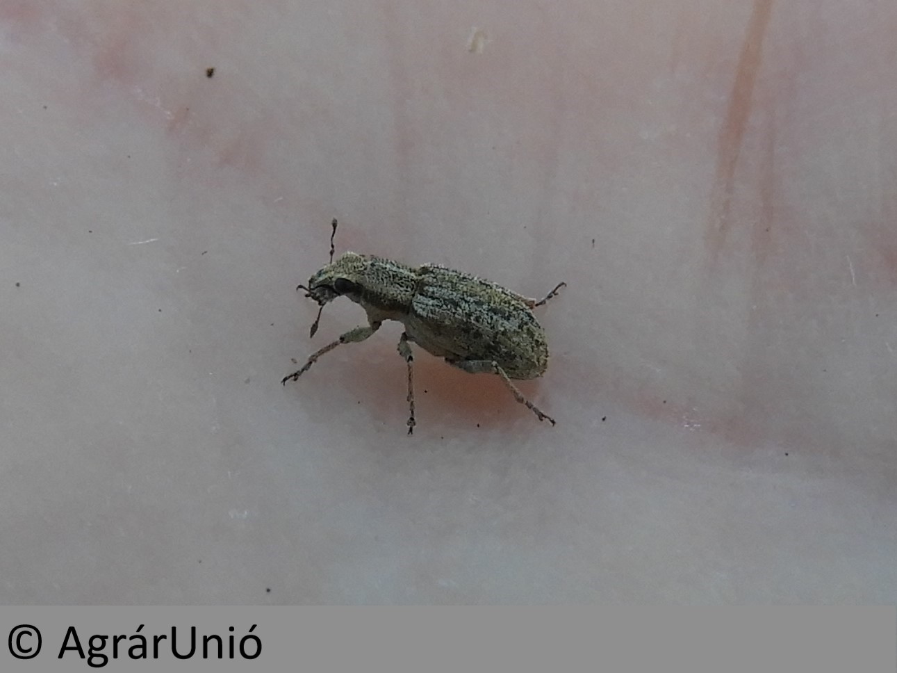 NapiKép 2018.05.05.